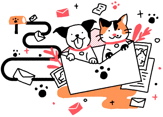 gato y perro en sobre